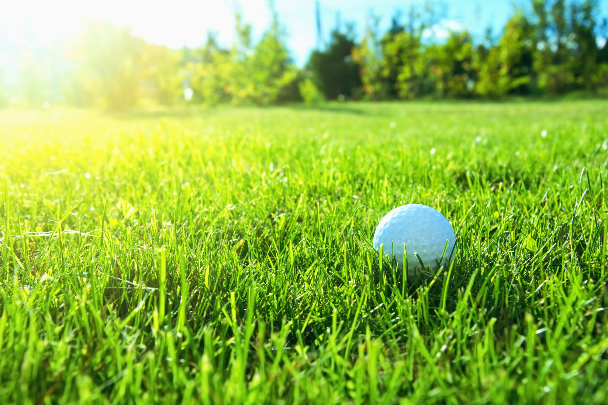 Summer Sport Is Here