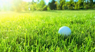 Summer Sport Is Here